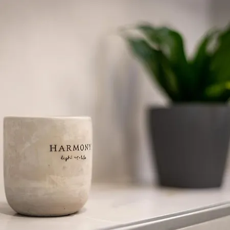 Apartman Lofts - Modernes - Boxspringbetten - Zentral